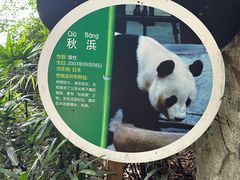 -深圳野生动物园