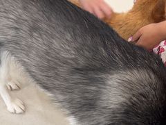-共舞时光猫咖·狗咖(新街口店)