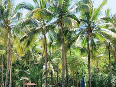 -三亚湾海居铂尔曼度假酒店