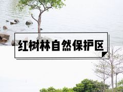 -宝安西湾红树林湿地公园
