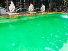 -春晖园度假酒店温泉