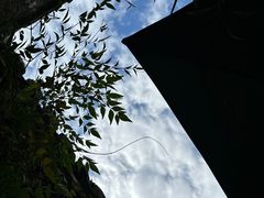 -黎里古镇