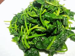红薯叶-汤家茗苑·精致私房菜(白沙店)
