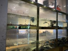 -小乡小镇·传承桐庐土菜·老板亲自烧的菜