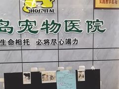 -半岛宠物医院24小时(西派城店)