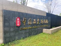 -景德镇中国陶瓷博物馆