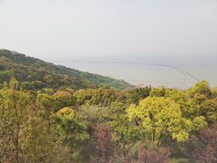 -宝界山林公园