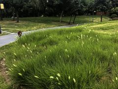 -渭滨公园