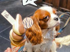 -胖虎打面团(九眼桥店)