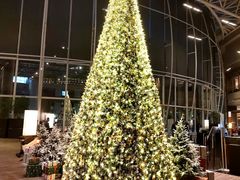 -香荟Aroma·外滩茂悦大酒店