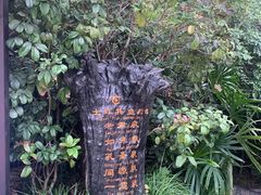 -天赐温泉