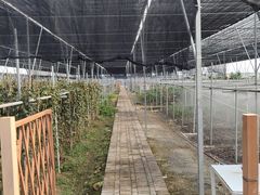 -迪茵湖田家舍生态农场