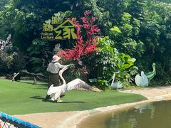 -广州长隆飞鸟乐园