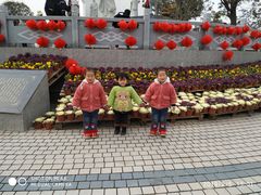 -武汉紫薇都市田园