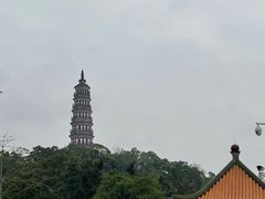 -顺峰山公园