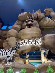 点击看大图 -卡通尼·Safari非洲探索乐园·生日会(金桥国际商业广场店)