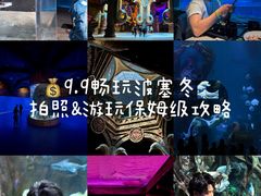 -哈尔滨波塞冬海底世界