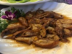 -红树林顺御楼(石楼店)