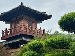 -习家池
