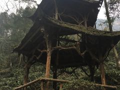-青城山
