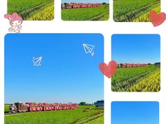 -稻梦空间