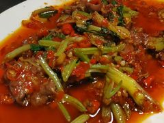 -陈麻婆豆腐总店