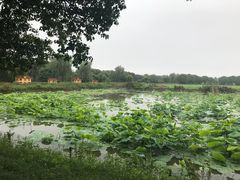 -上膳源有机农场