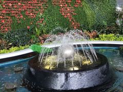 -惠如樓(白云机场T2国际出发店)
