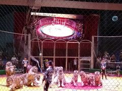 -西安秦岭野生动物园