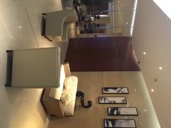 -海豚之星游泳俱乐部(喜来登馆)