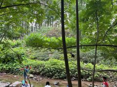 -重庆彩云湖湿地公园
