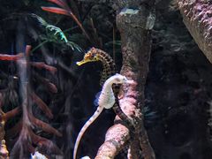 -上海长风海洋世界