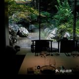 杭州新店 | 上天竺的“森林秘境”餐厅