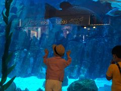 -迪拜水族馆及水下动物园