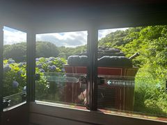 -济州森林小火车生态公园