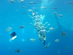 -瑞德姆美人鱼海底演艺主题餐厅(亚龙湾店)