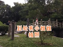 -深圳国际园林花卉博览园