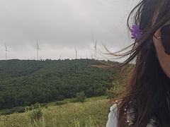 -塞罕坝国家级自然保护区