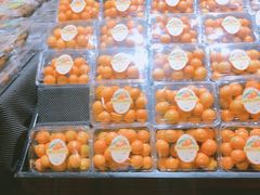 -果多美(万泉庄店)