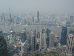 -The lounge 柏悦酒店大堂酒廊(上海环球金融中心店)