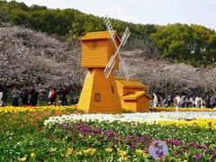 -苏州上方山国家森林公园