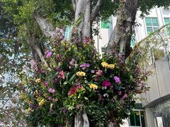 -人民公园(罗湖区)