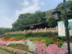 -苏州上方山国家森林公园