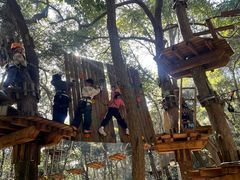 -杭州开元森泊度假乐园