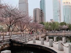 -西北湖绿化广场