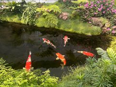 -罗红摄影艺术馆