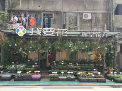 -溪岸路花鸟市场