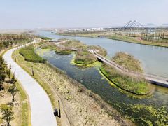 -春花秋色城市公园