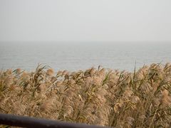 -上海吴淞炮台湾国家湿地公园