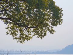 -东湖落雁景区